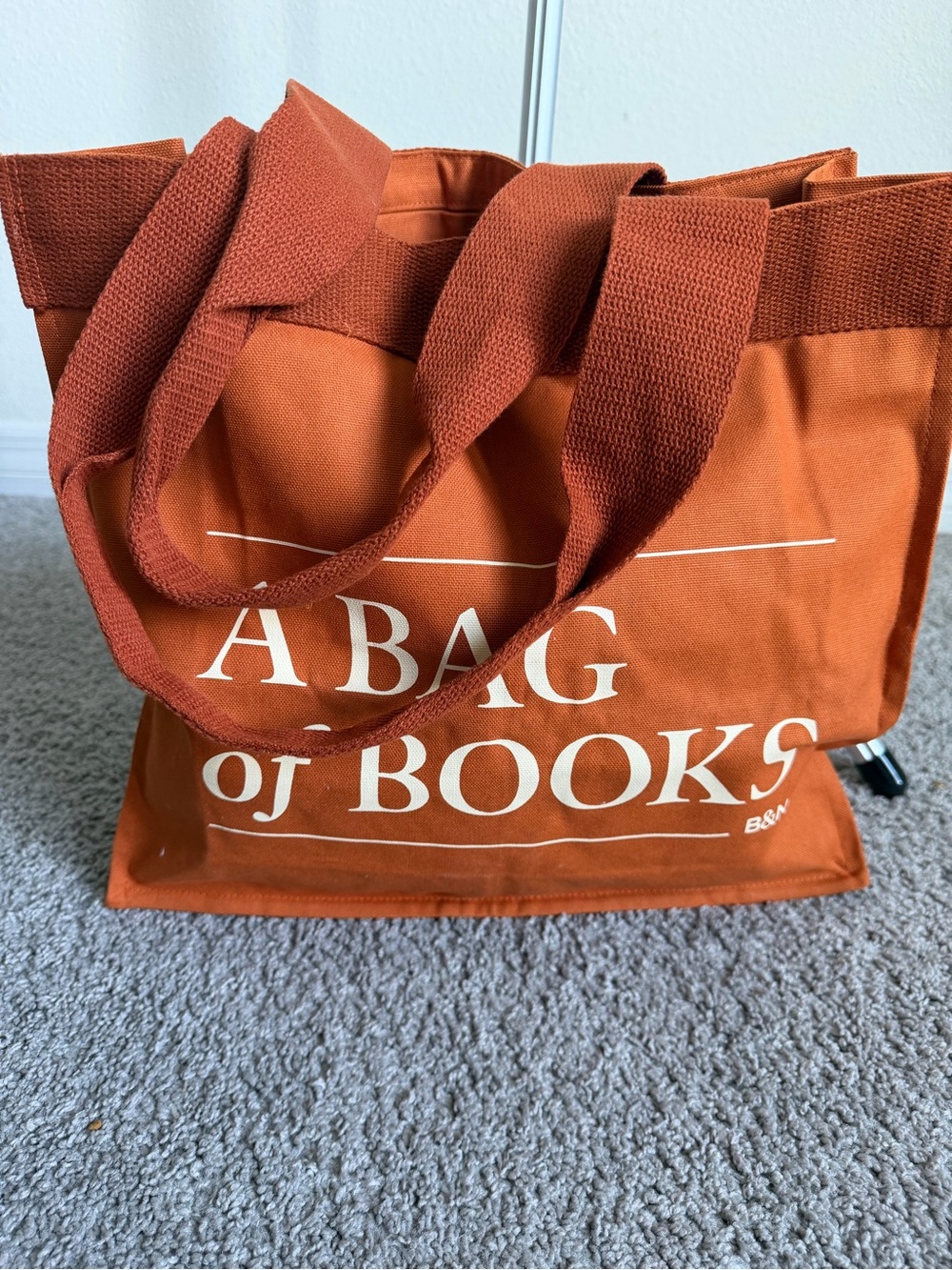 'A Bag of Books' Rust Canvas Tote Bag